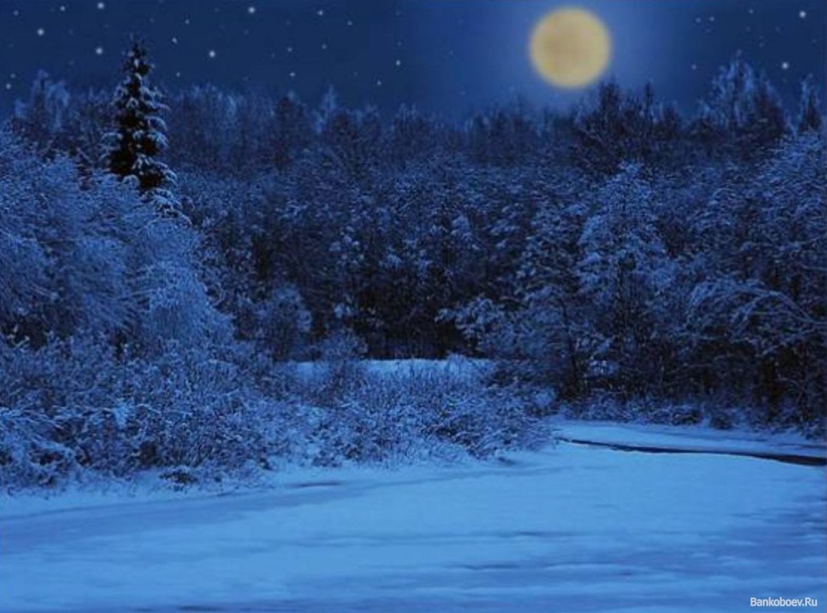 Лунная зимняя ночь