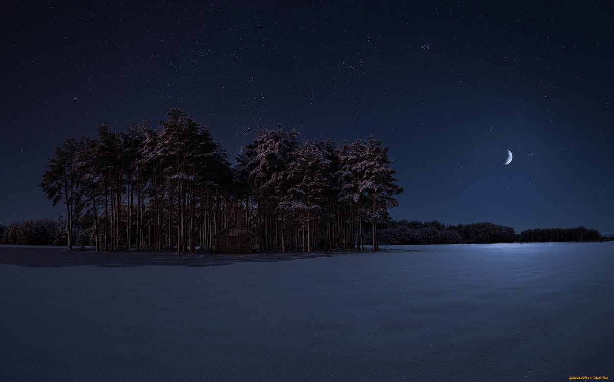 Ночная природа