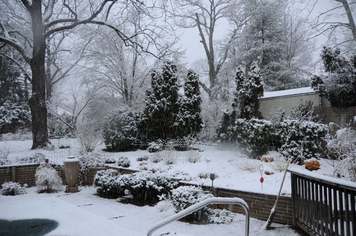 Домик в Снежном лесу