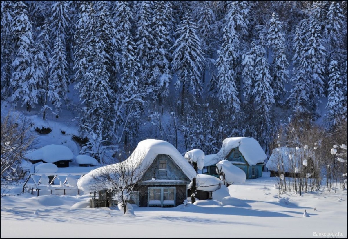 Деревня зимой