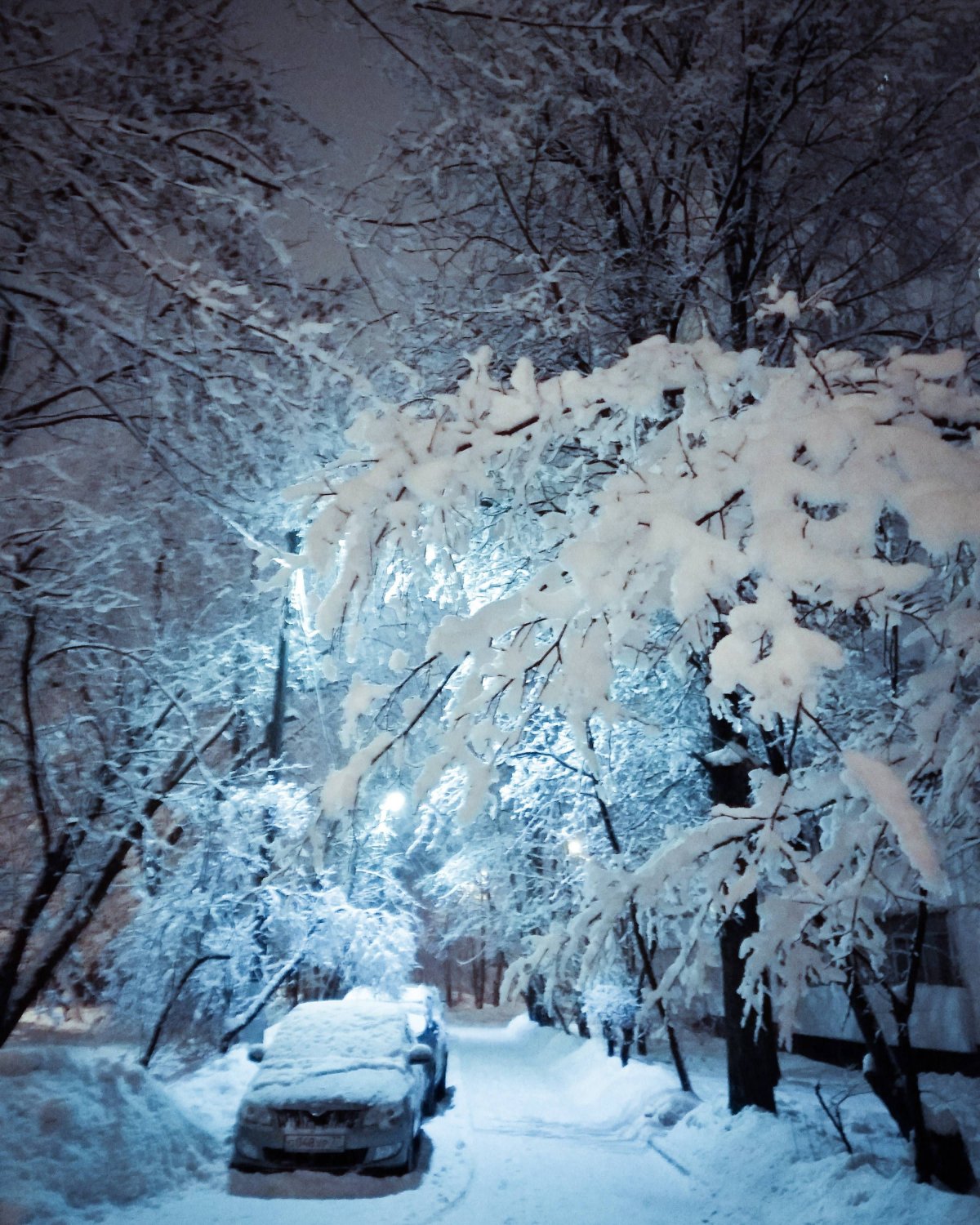 Домик зимой