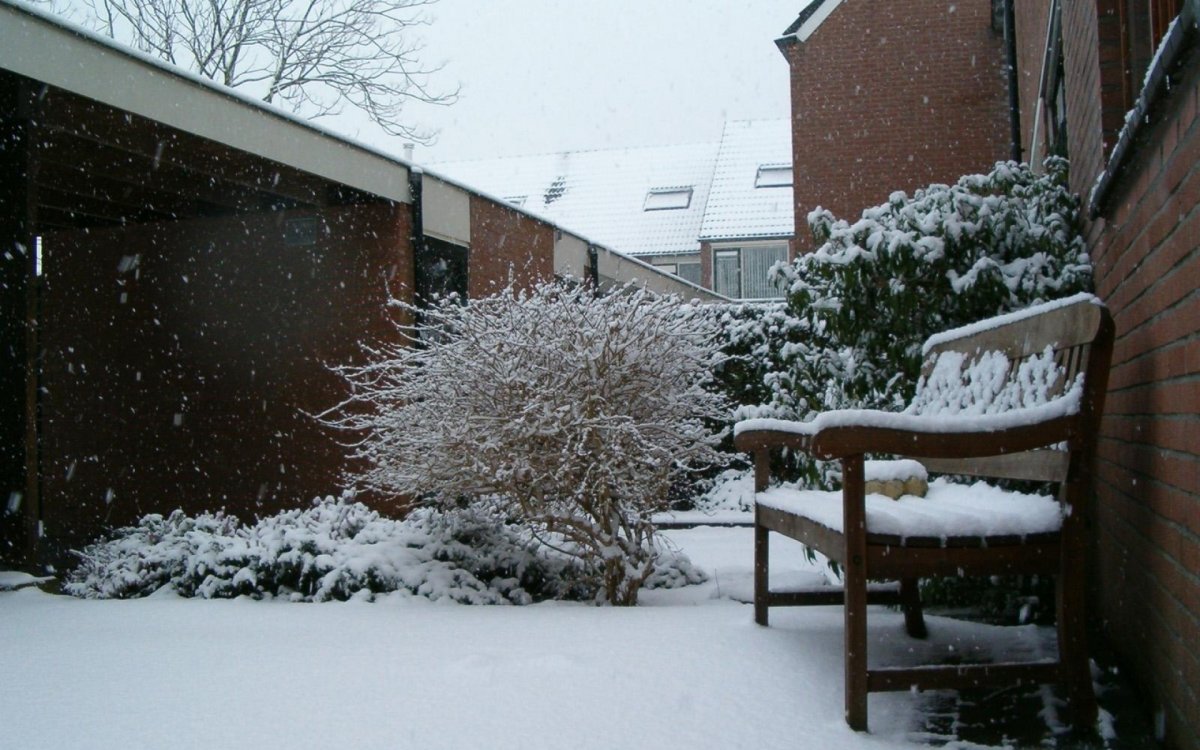 Заснеженный домик