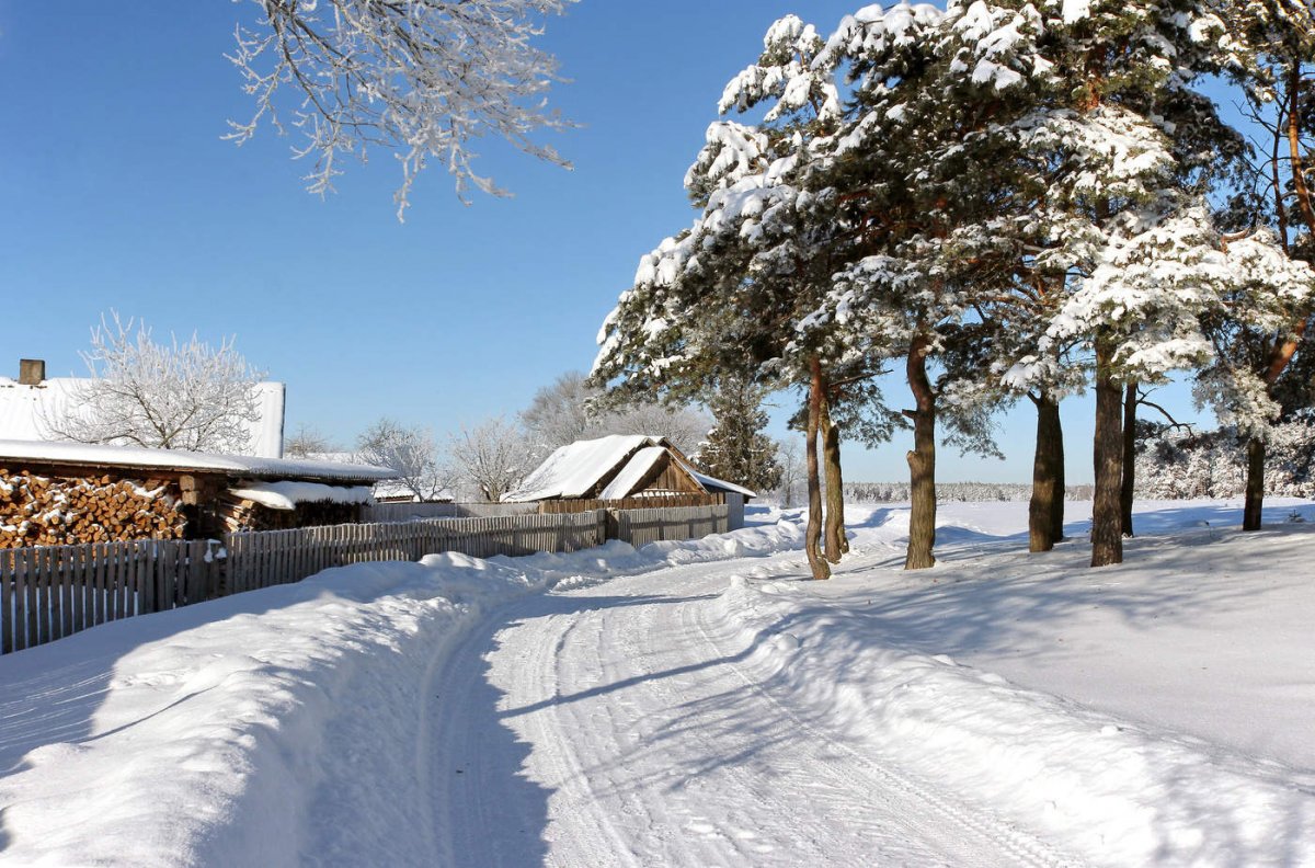 Зима в саду