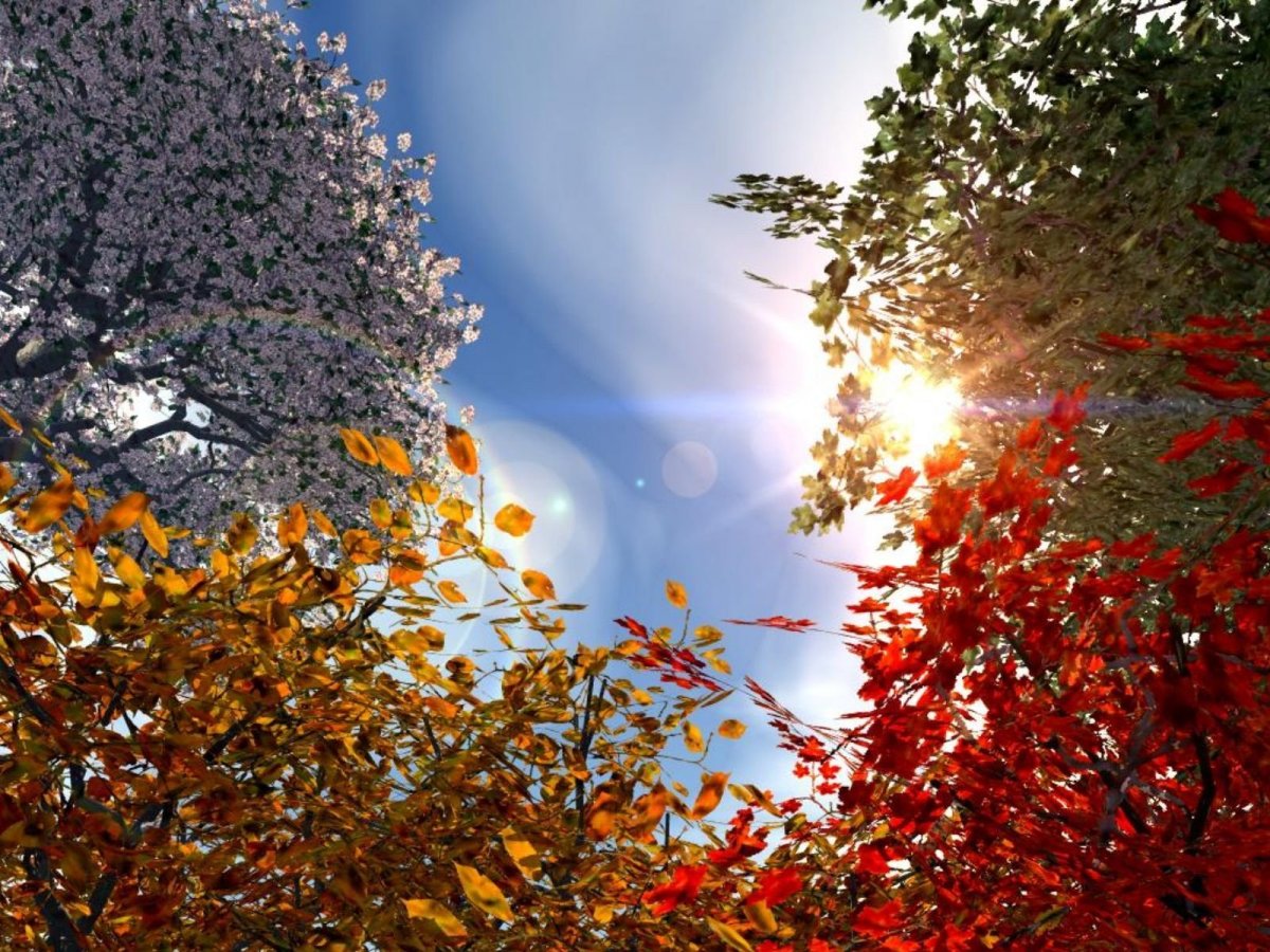 Пейзаж в Разное время года