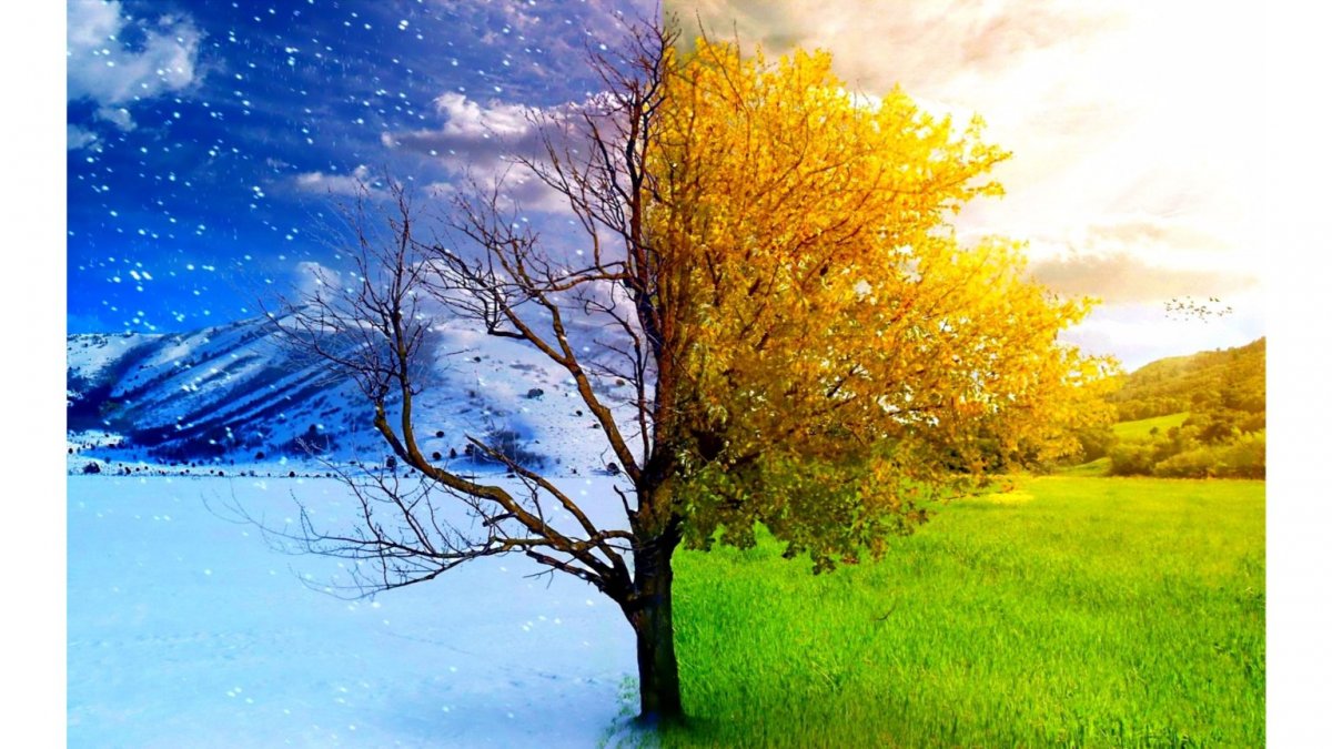 Фон времена года