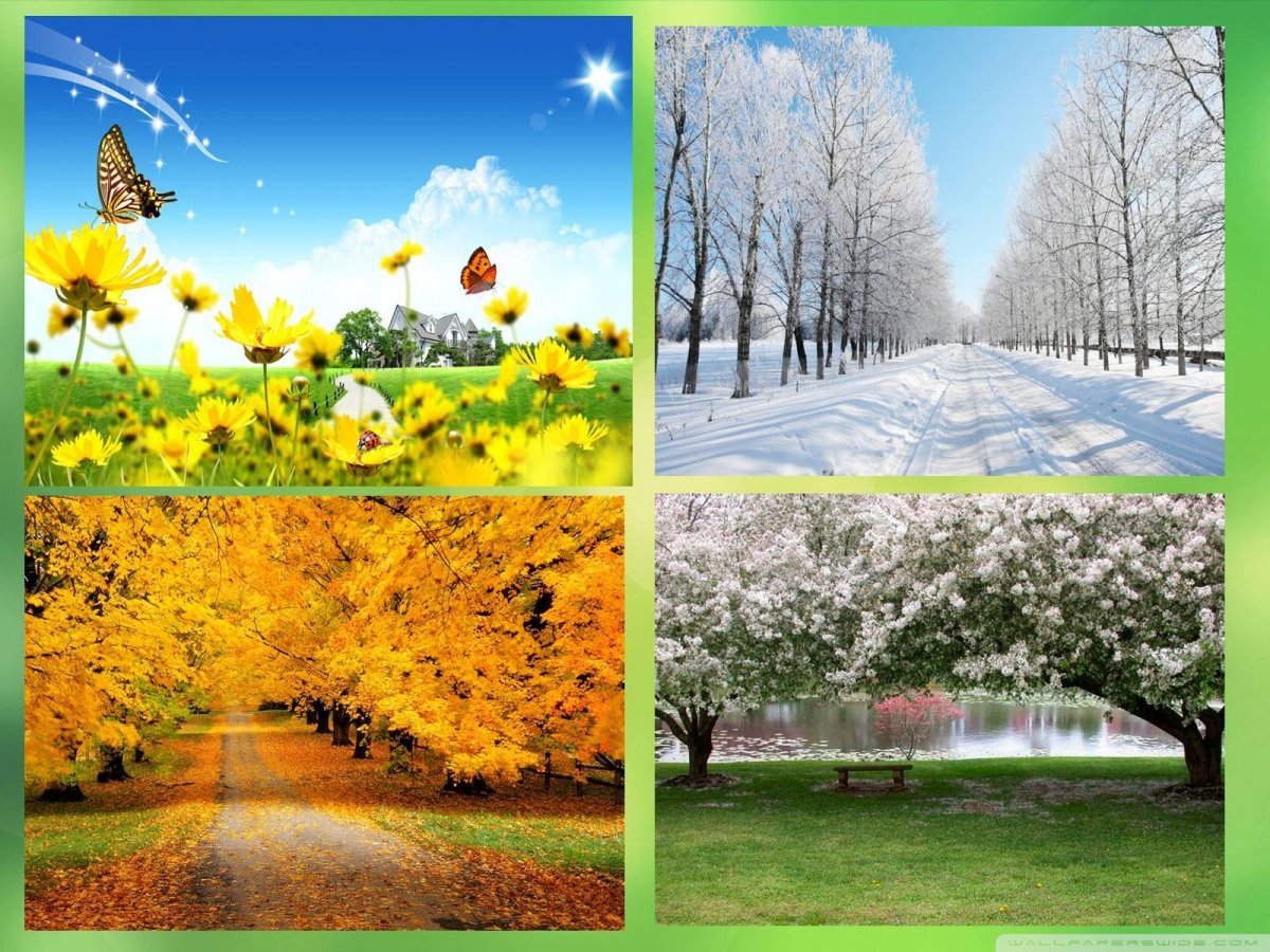 Горы осень зима Весна лето