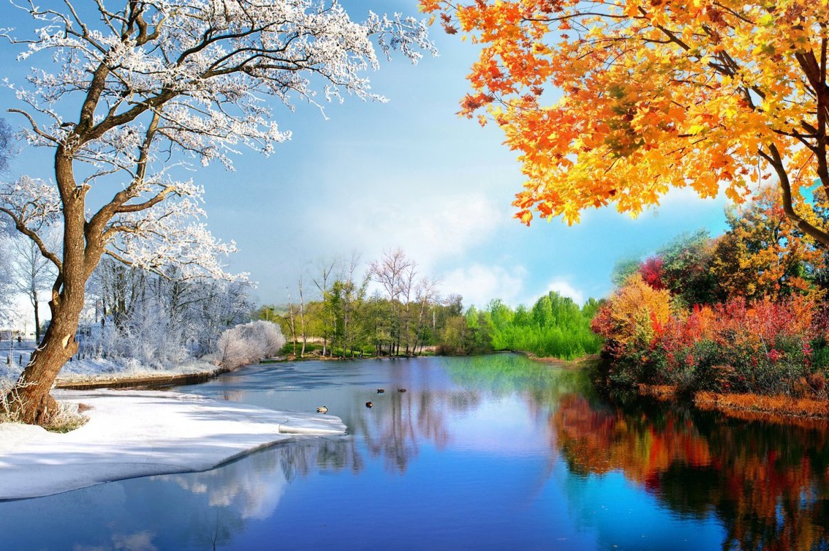 Панорама времена года