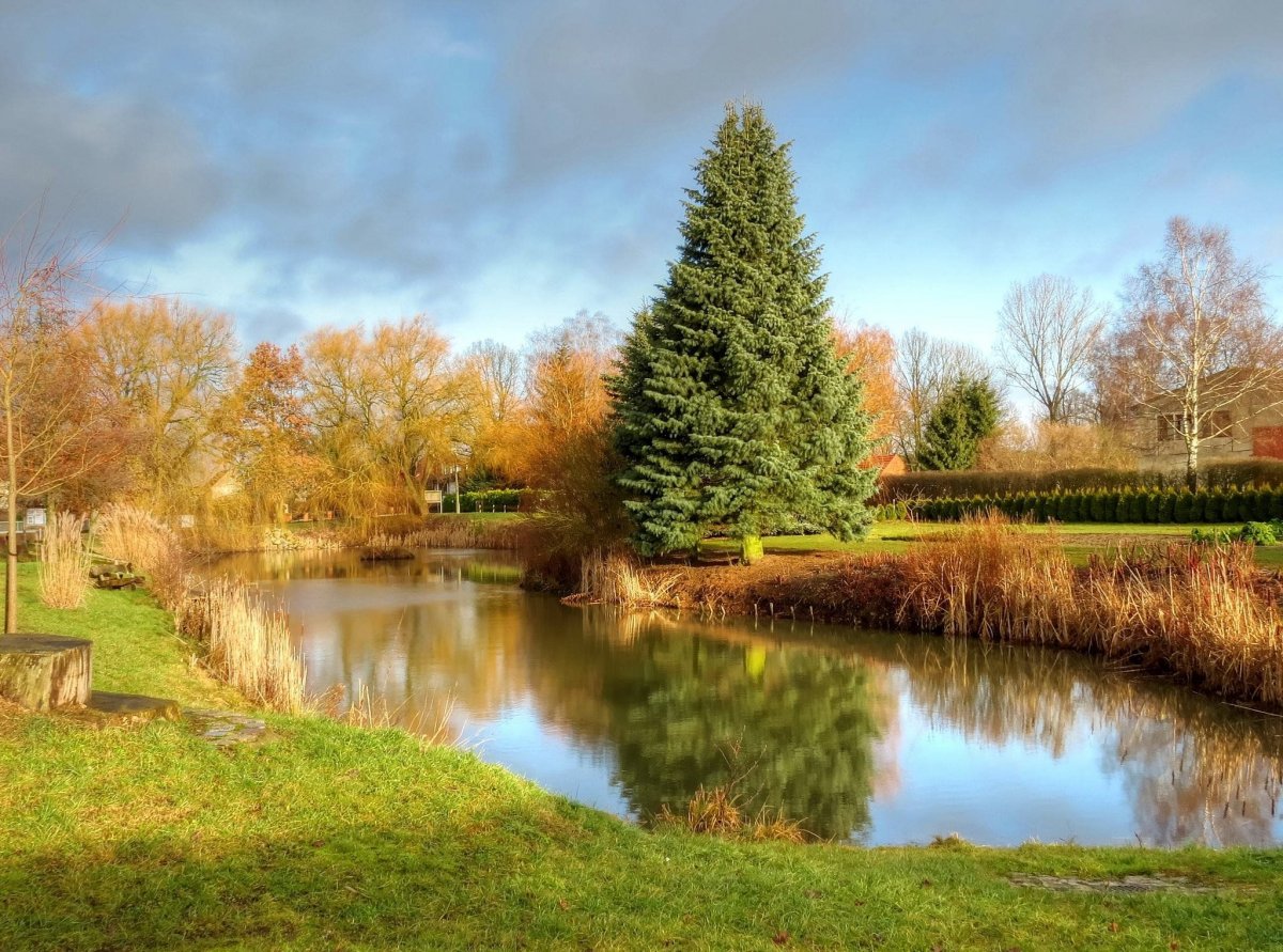 Фото осени красивые