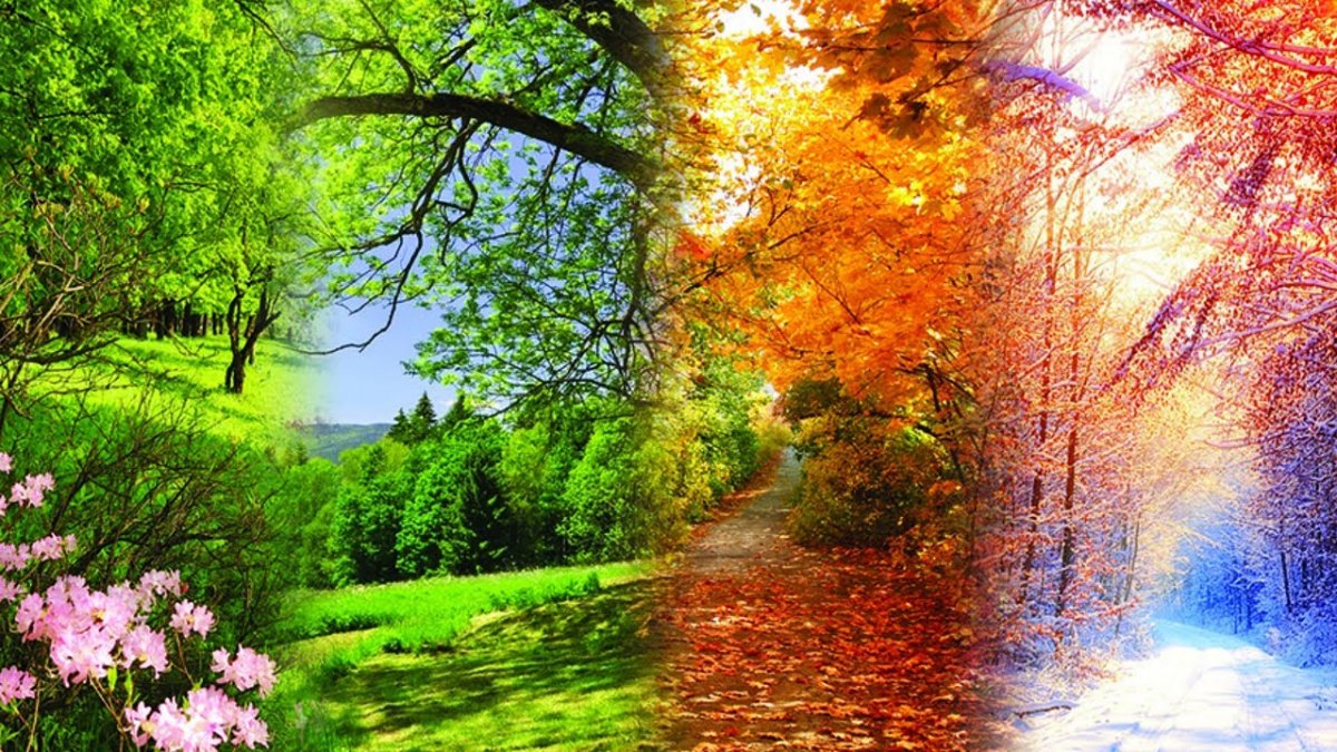 Пейзаж в Разное время года