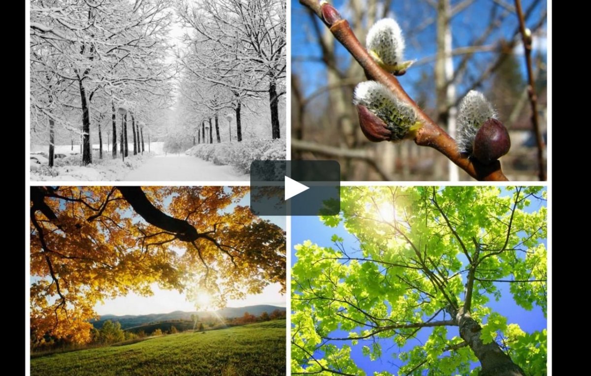 Пейзаж в Разное время года