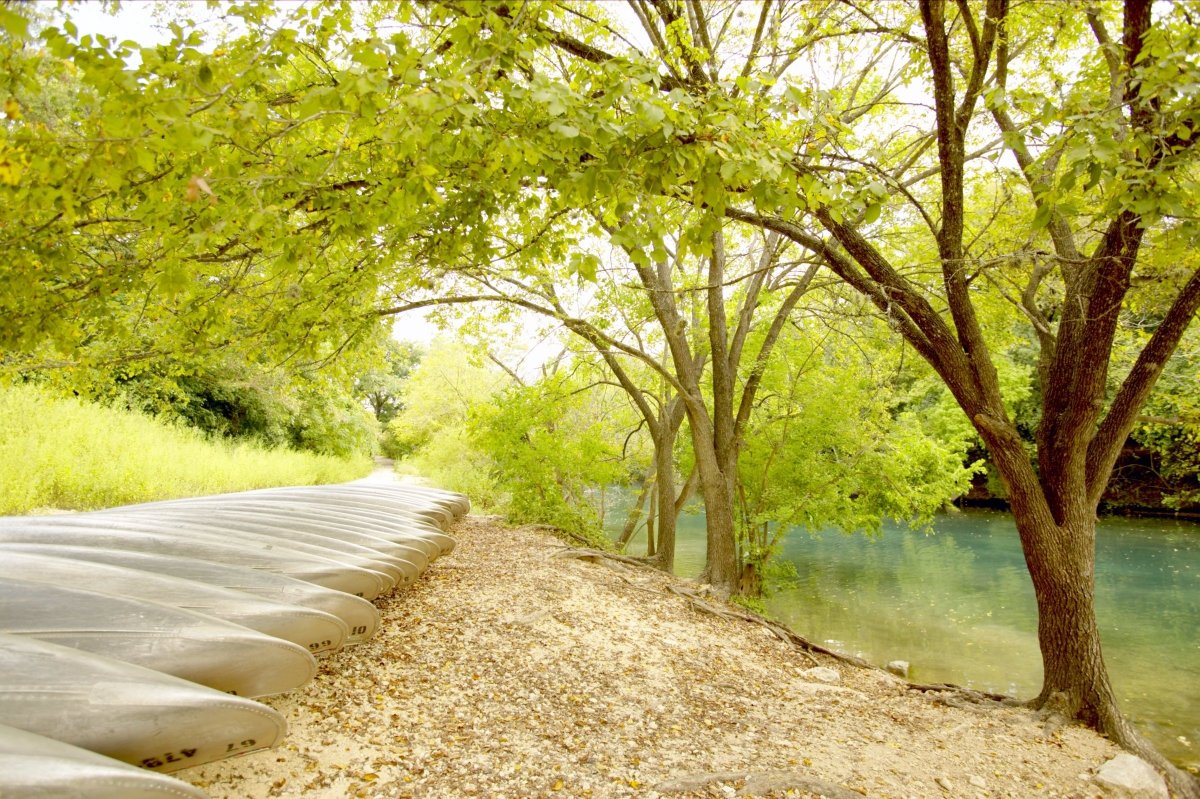 Ноябрь природа