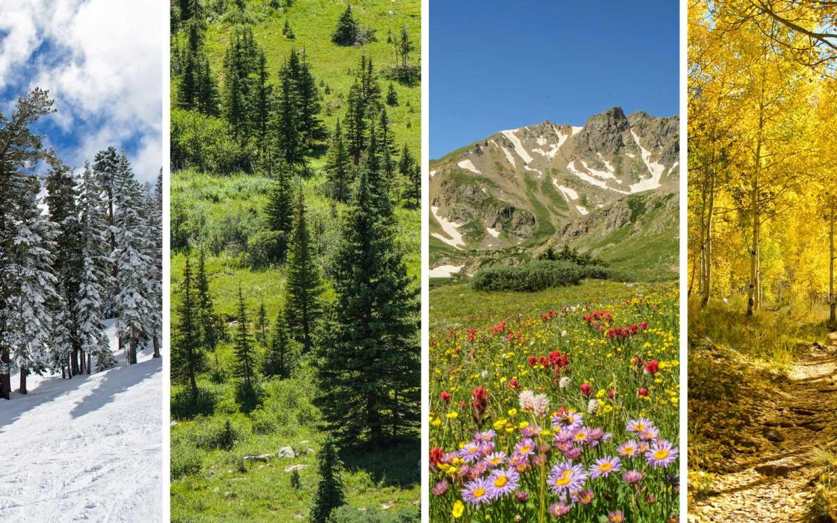 Пейзаж по временам года