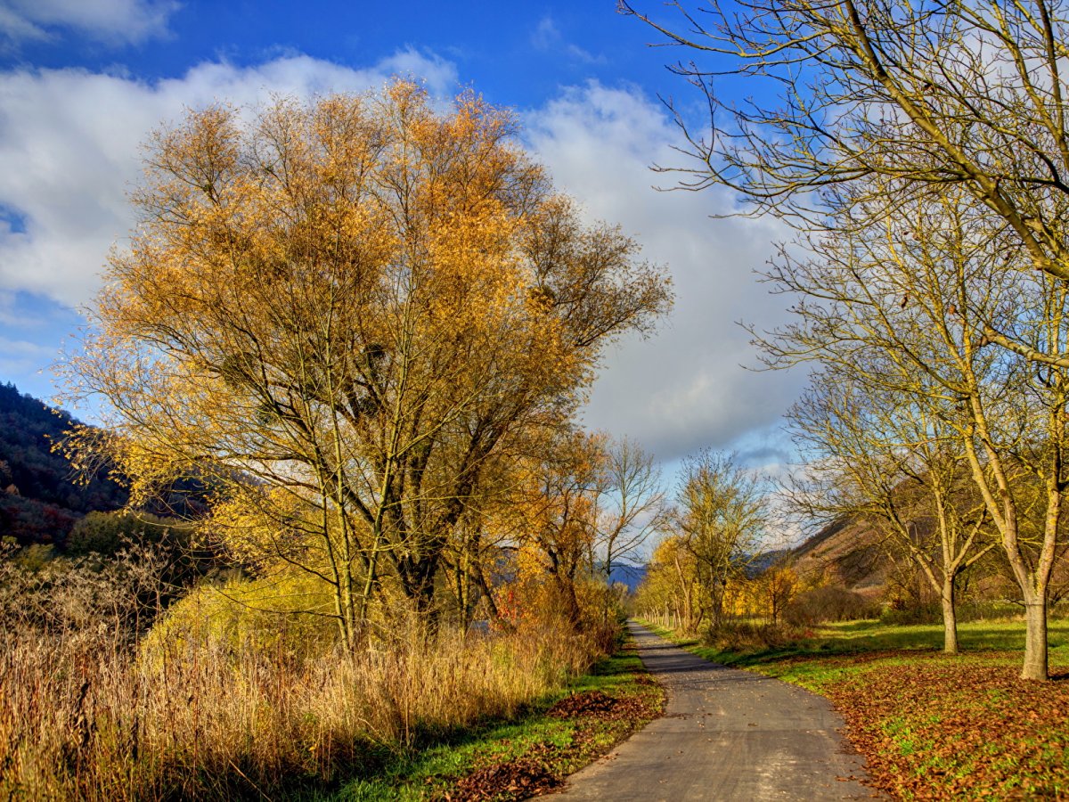 Весна лето осень
