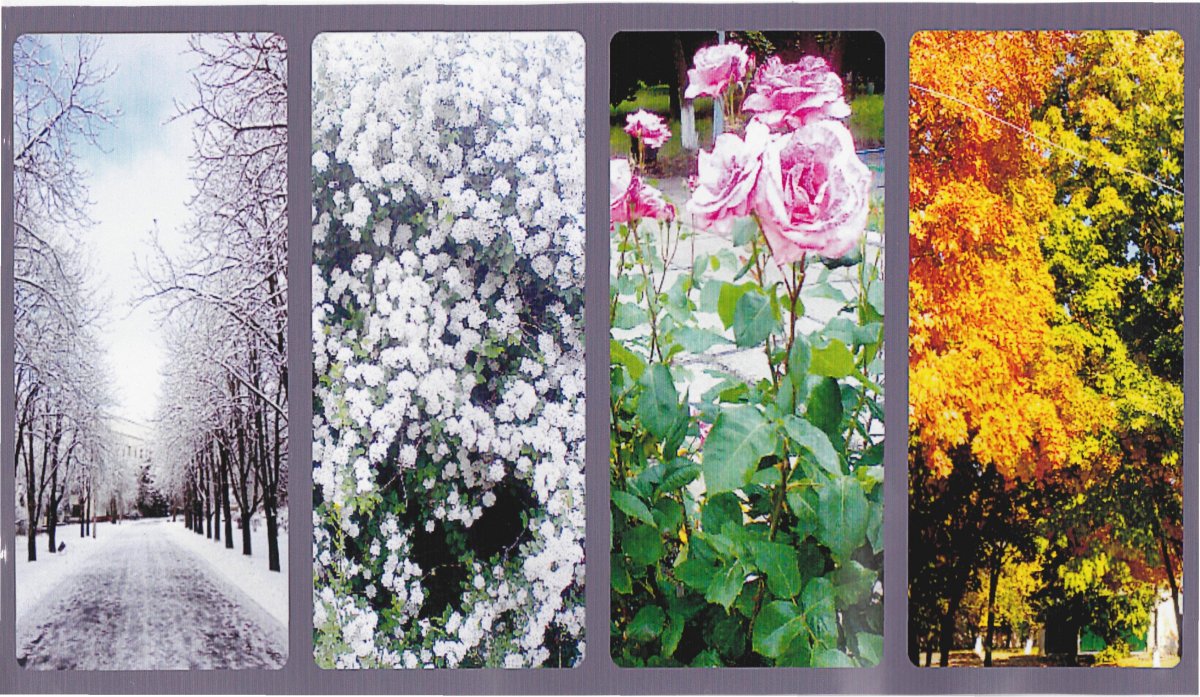 Красивая Весенняя и осенняя природа