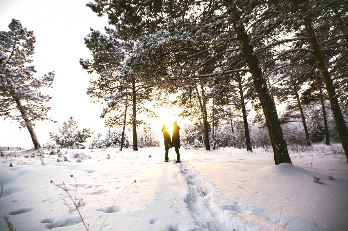 Прогулка в Солнечный зимний день