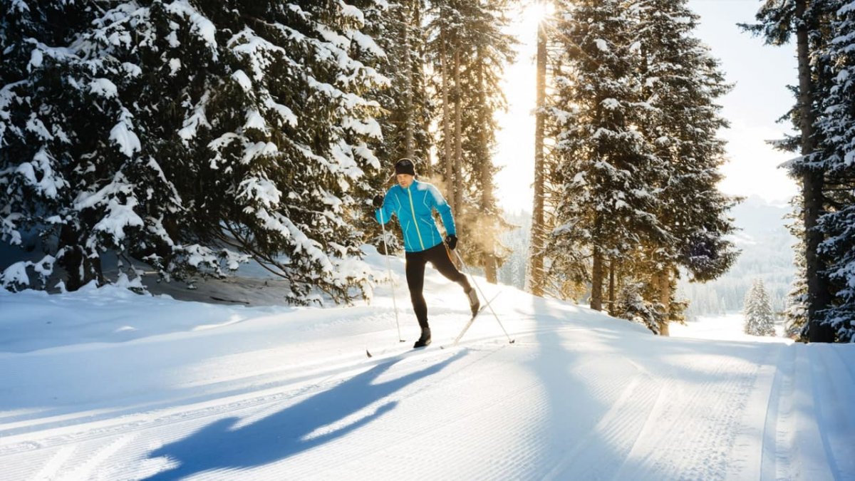 Лыжная прогулка в лесу