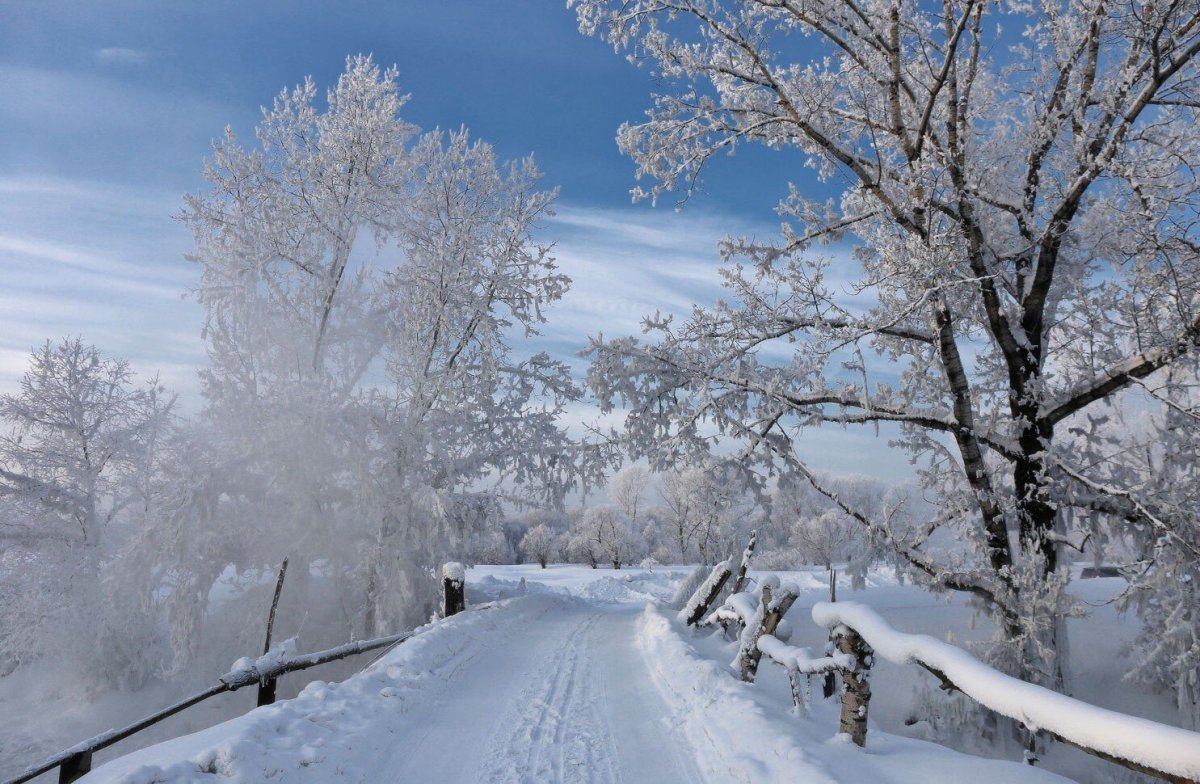 Фотографии зимы красивые 2021 год