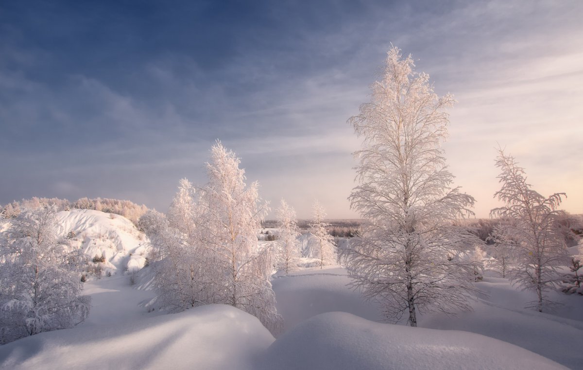 Нежный зимний пейзаж