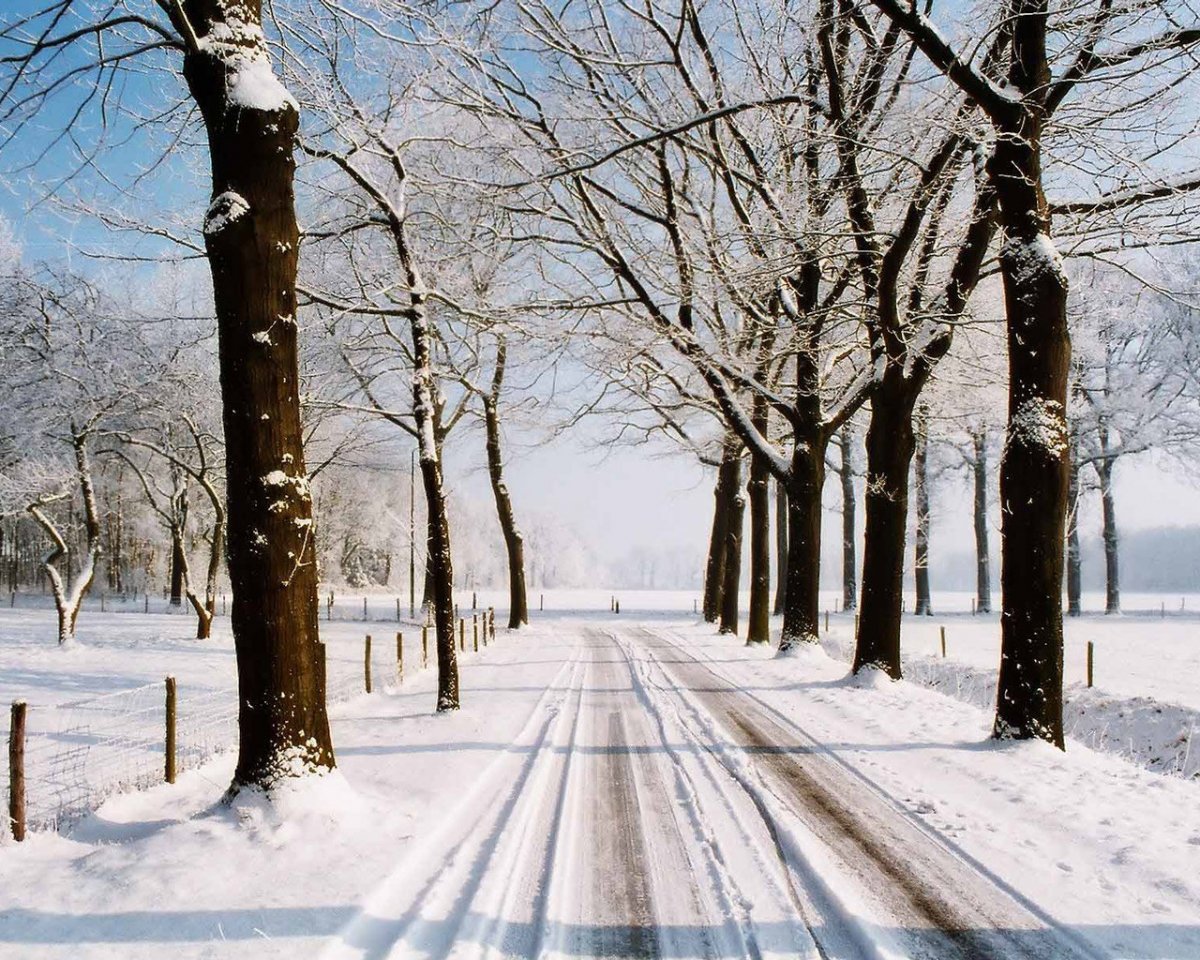 Зима в городе