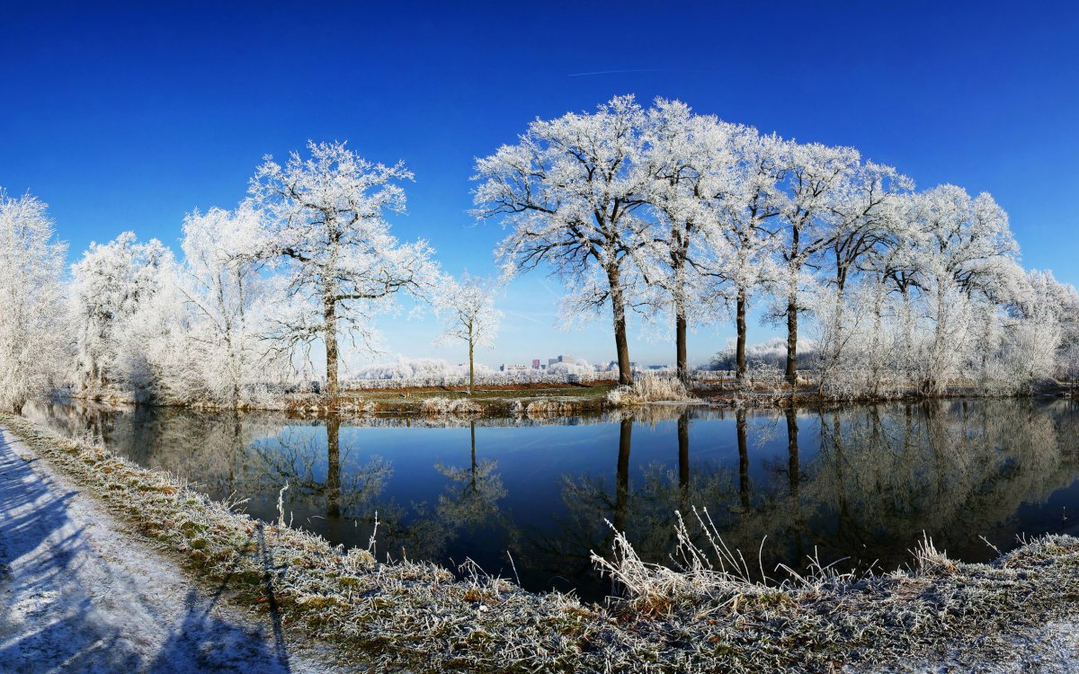 Весенний пейзаж