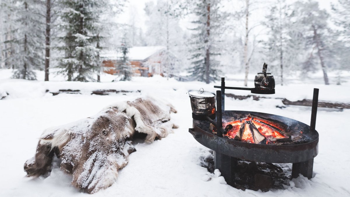 Зимний шашлык