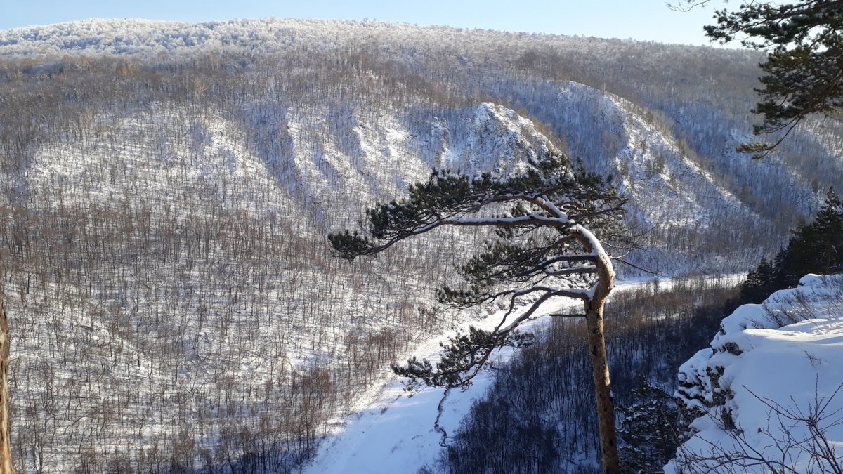 Мурадымовское ущелье зимой