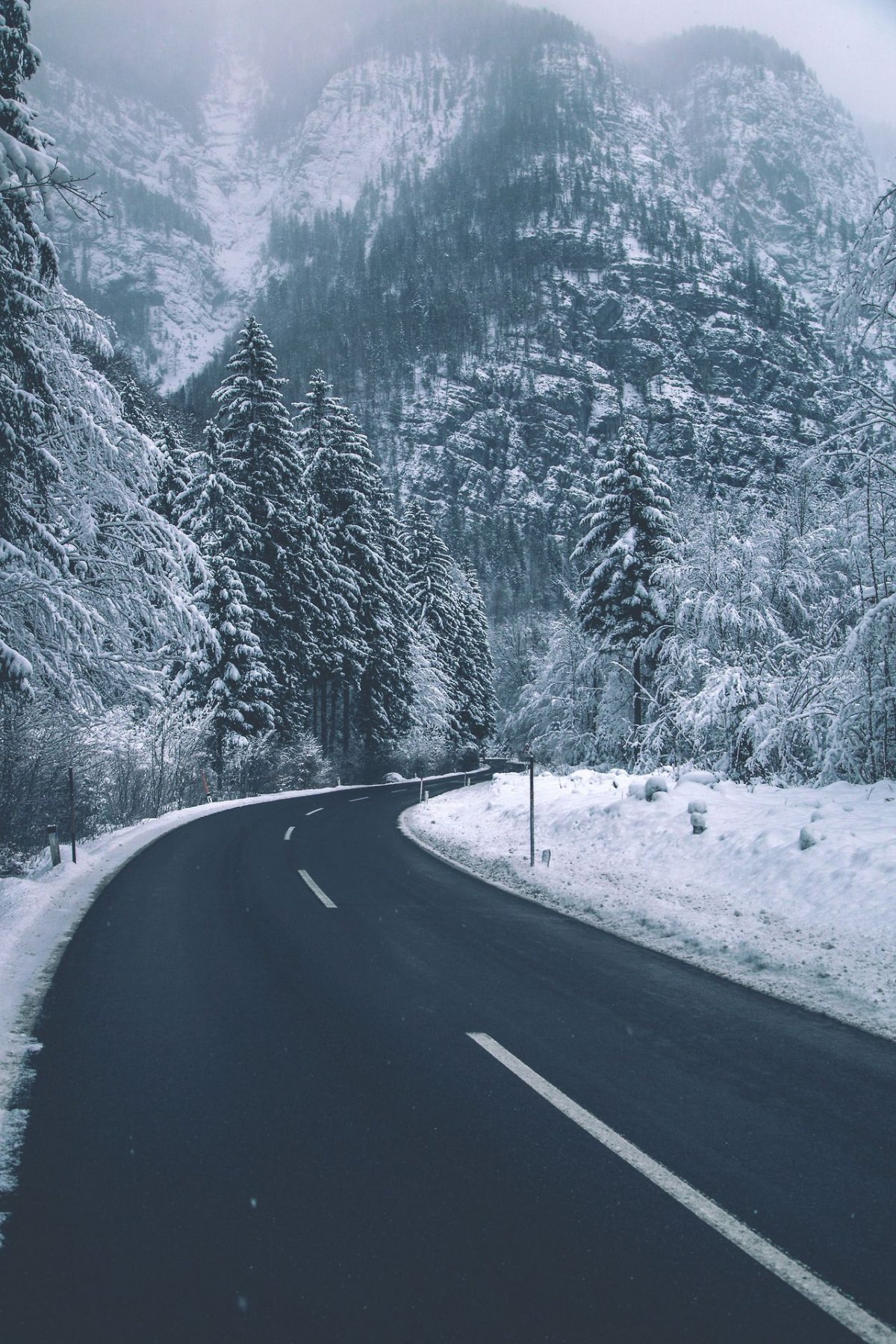 Зима дорога