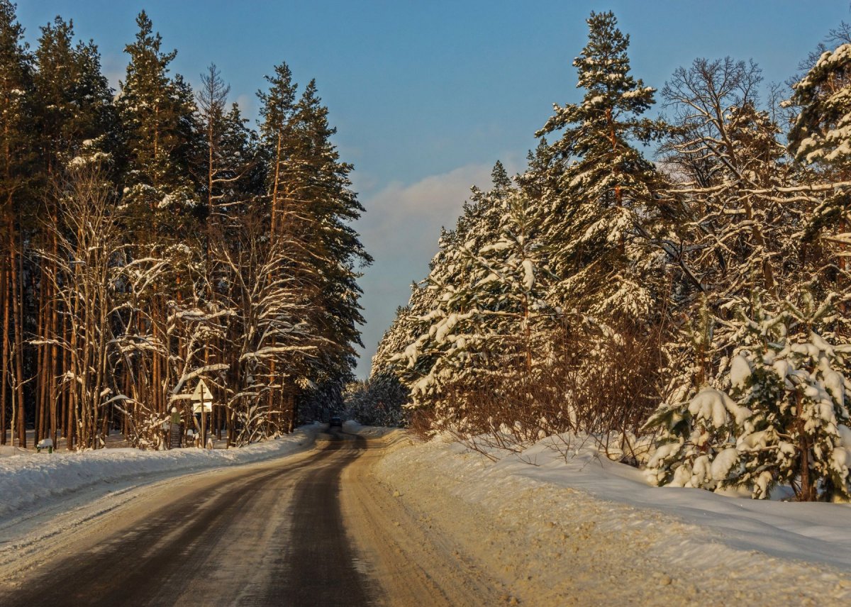 Подмосковье зимняя дорога