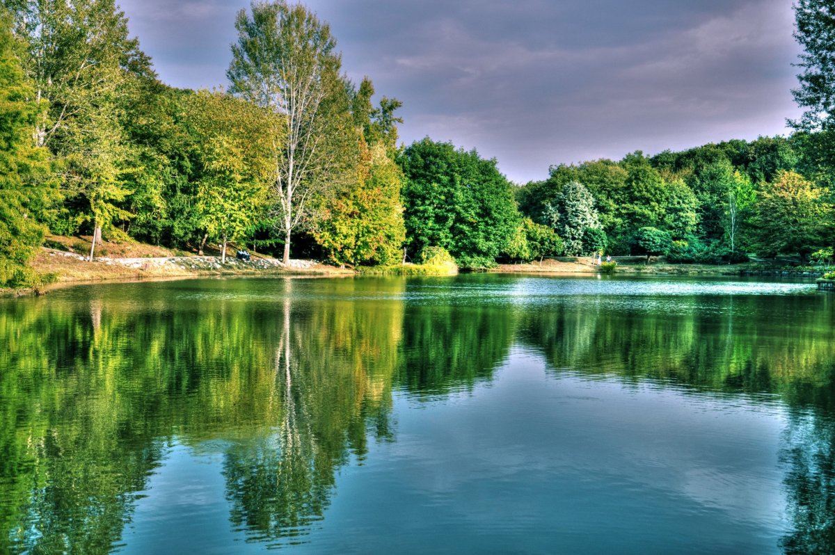 Природа река