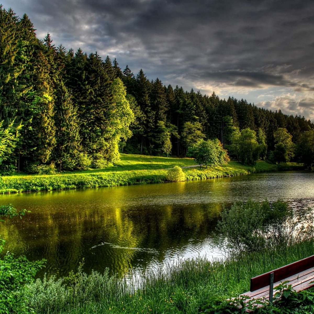 Летний пейзаж