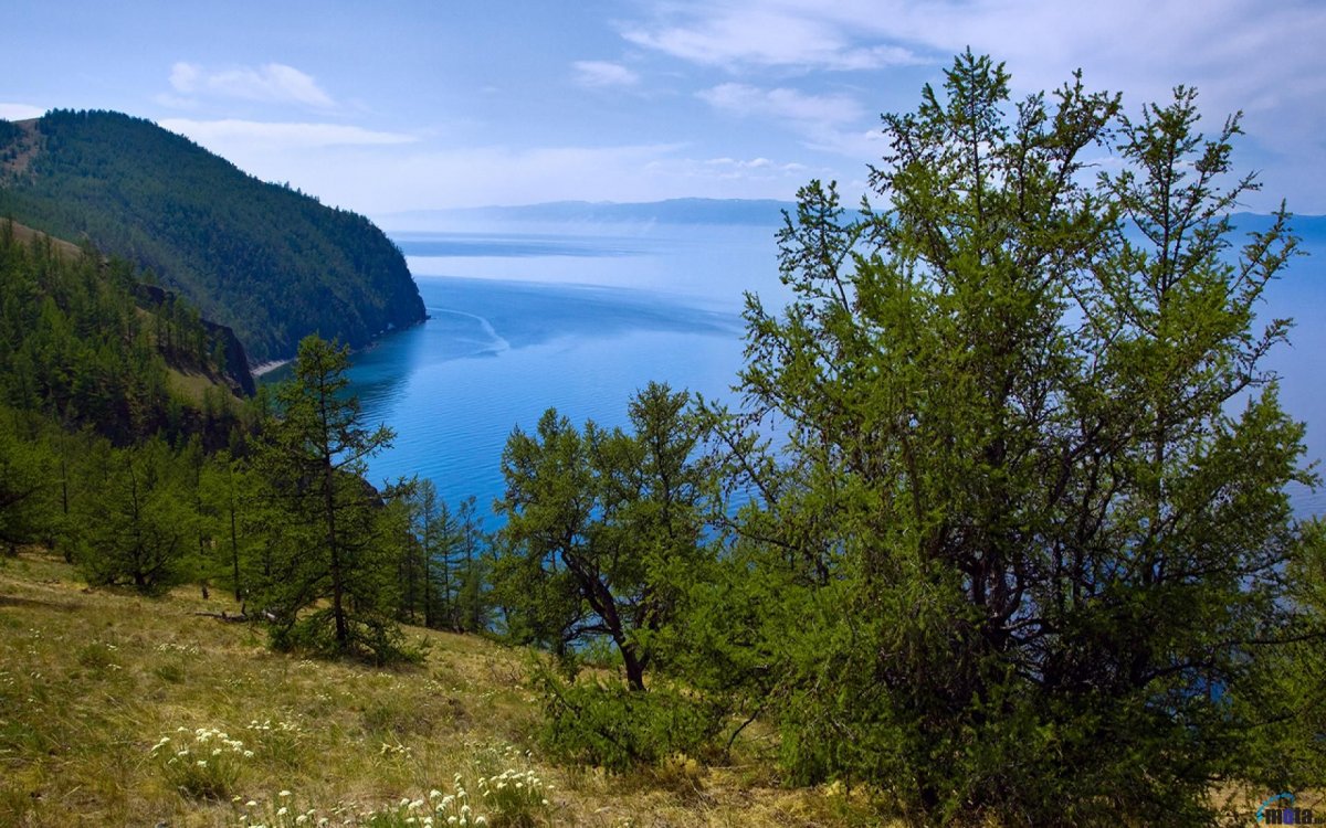 Байкальский государственный биосферный заповедник