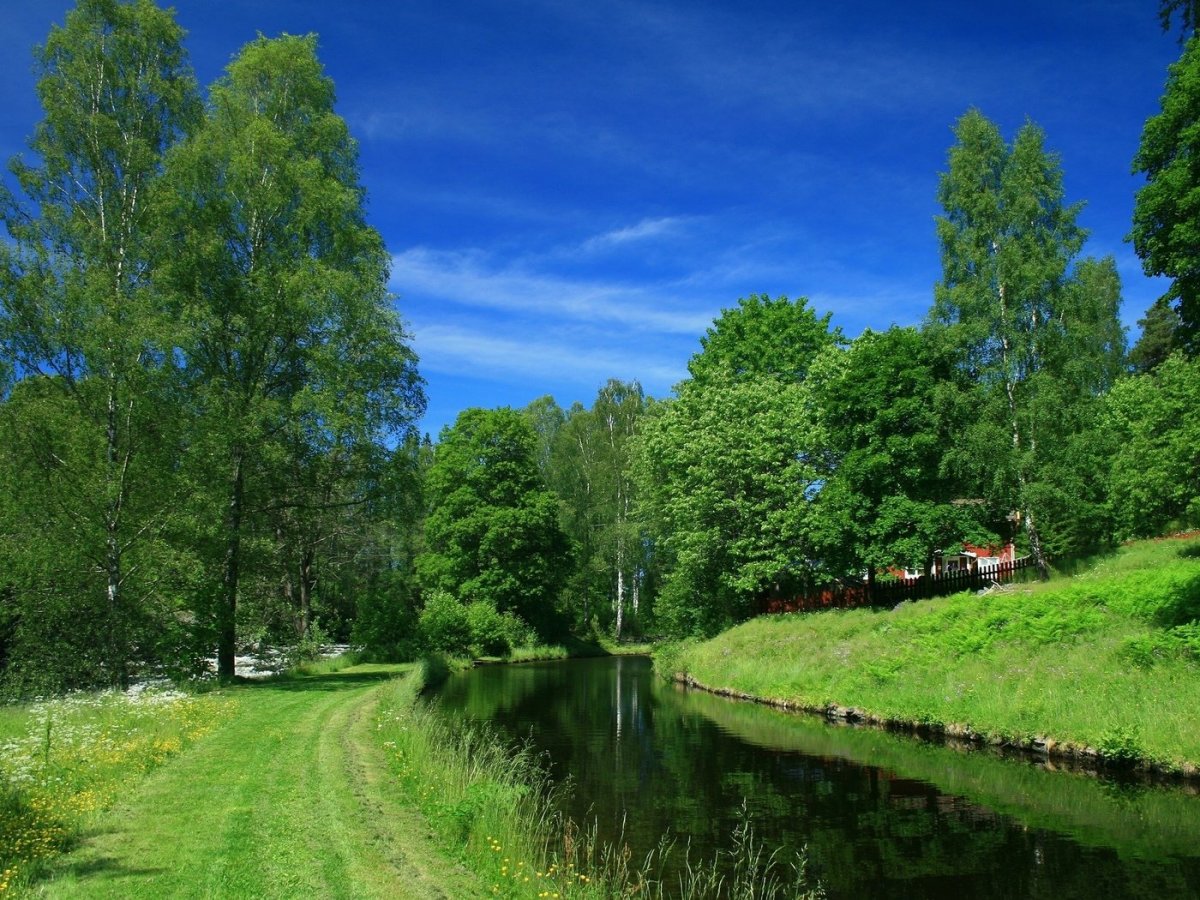 Красивые летние пейзажи природы