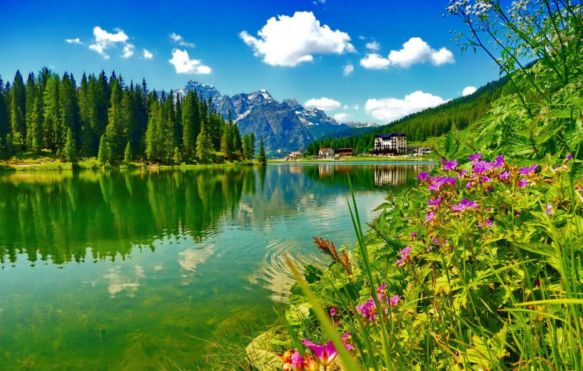 Горы река цветы