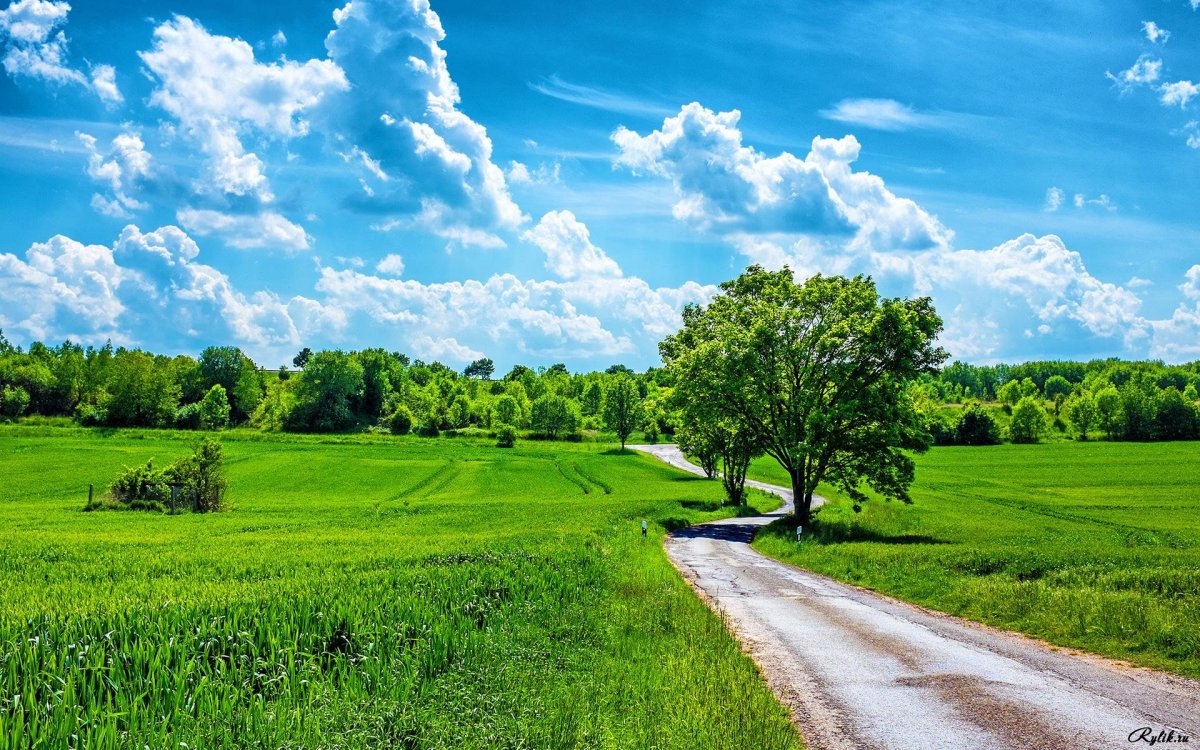 Красивое лето