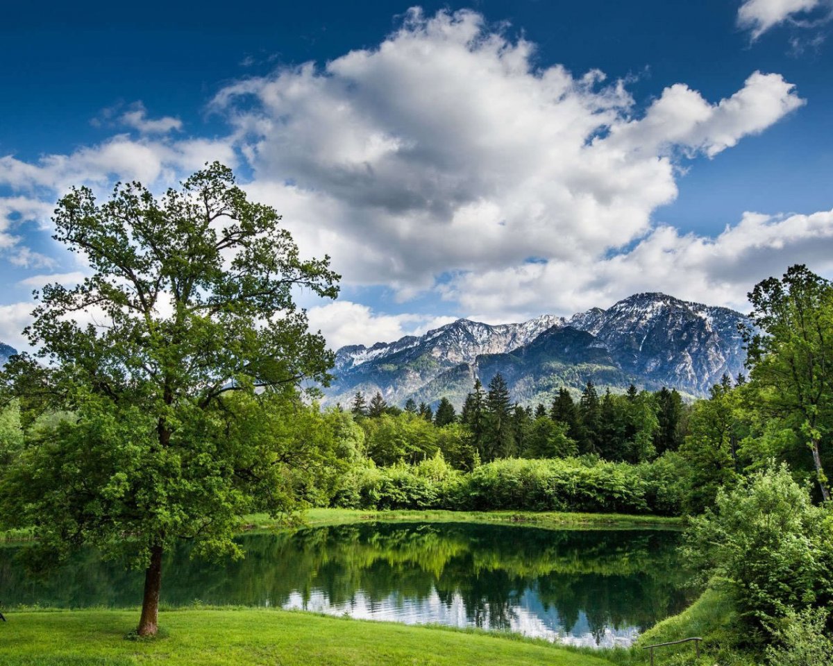Красивые летние пейзажи
