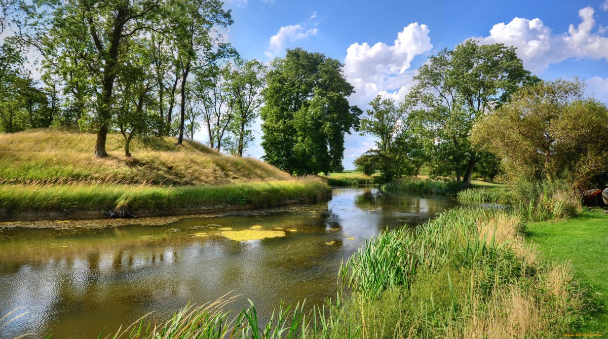 Красивые летние пейзажи природы