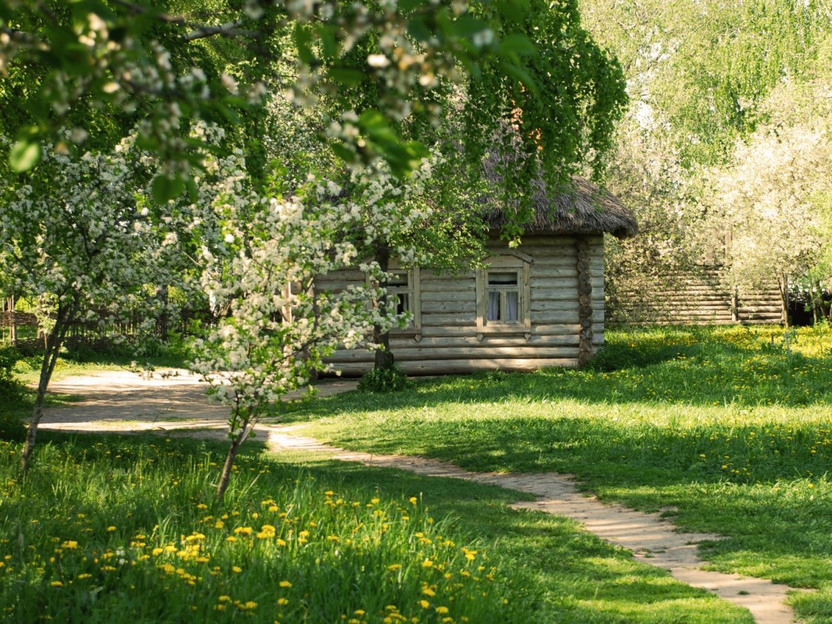 Деревенские мотивы