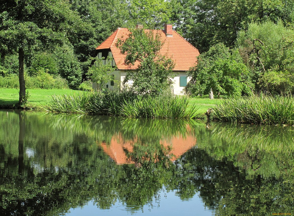 Дом в лесу у озера