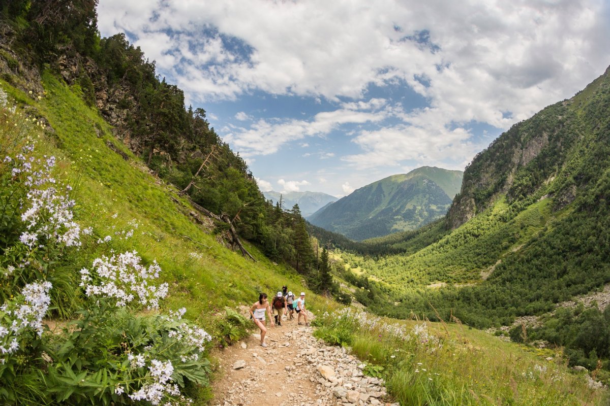 Архыз Софийский лес