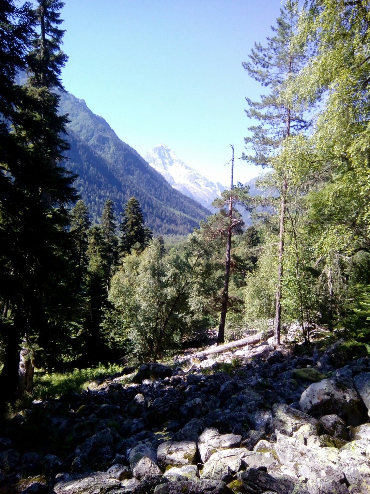 Поселок Архыз горы