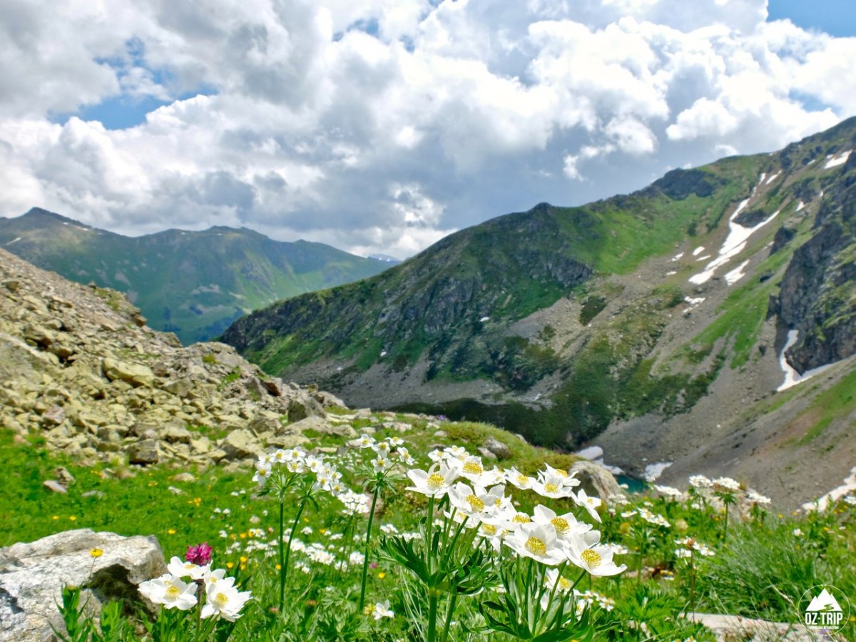 Природа Кавказа Архыз