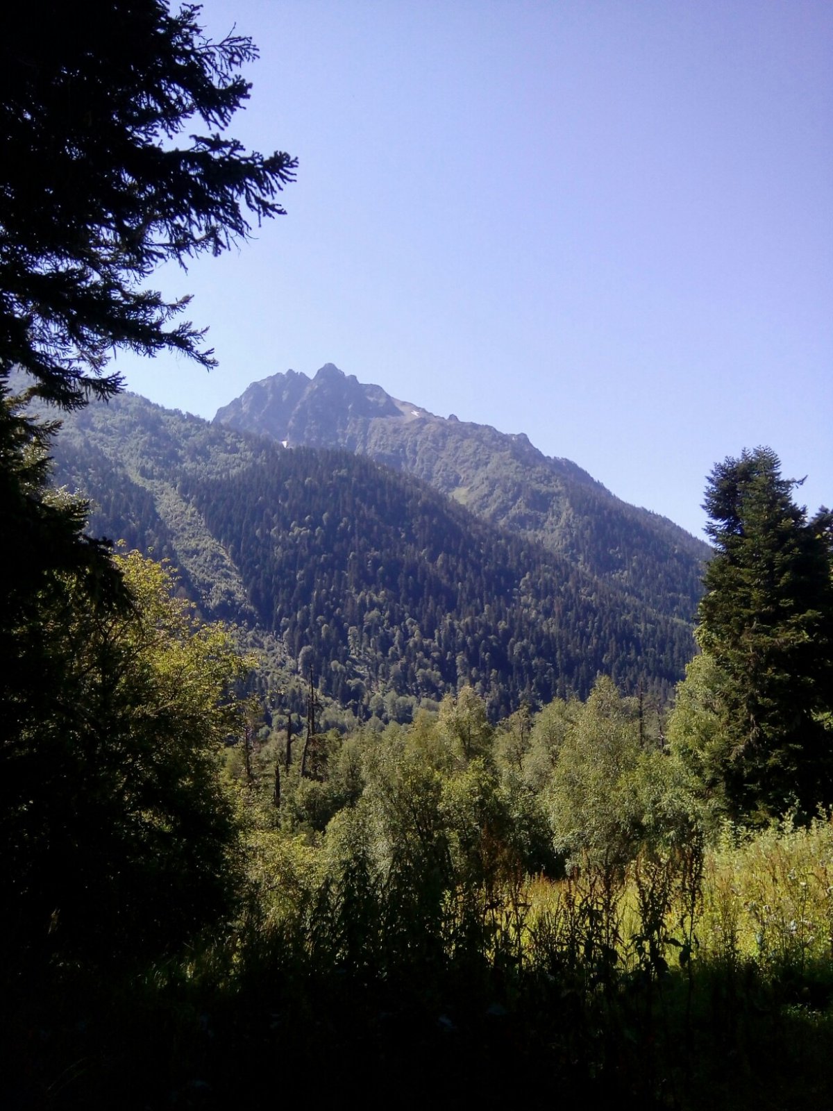 Гора Ильич Архыз