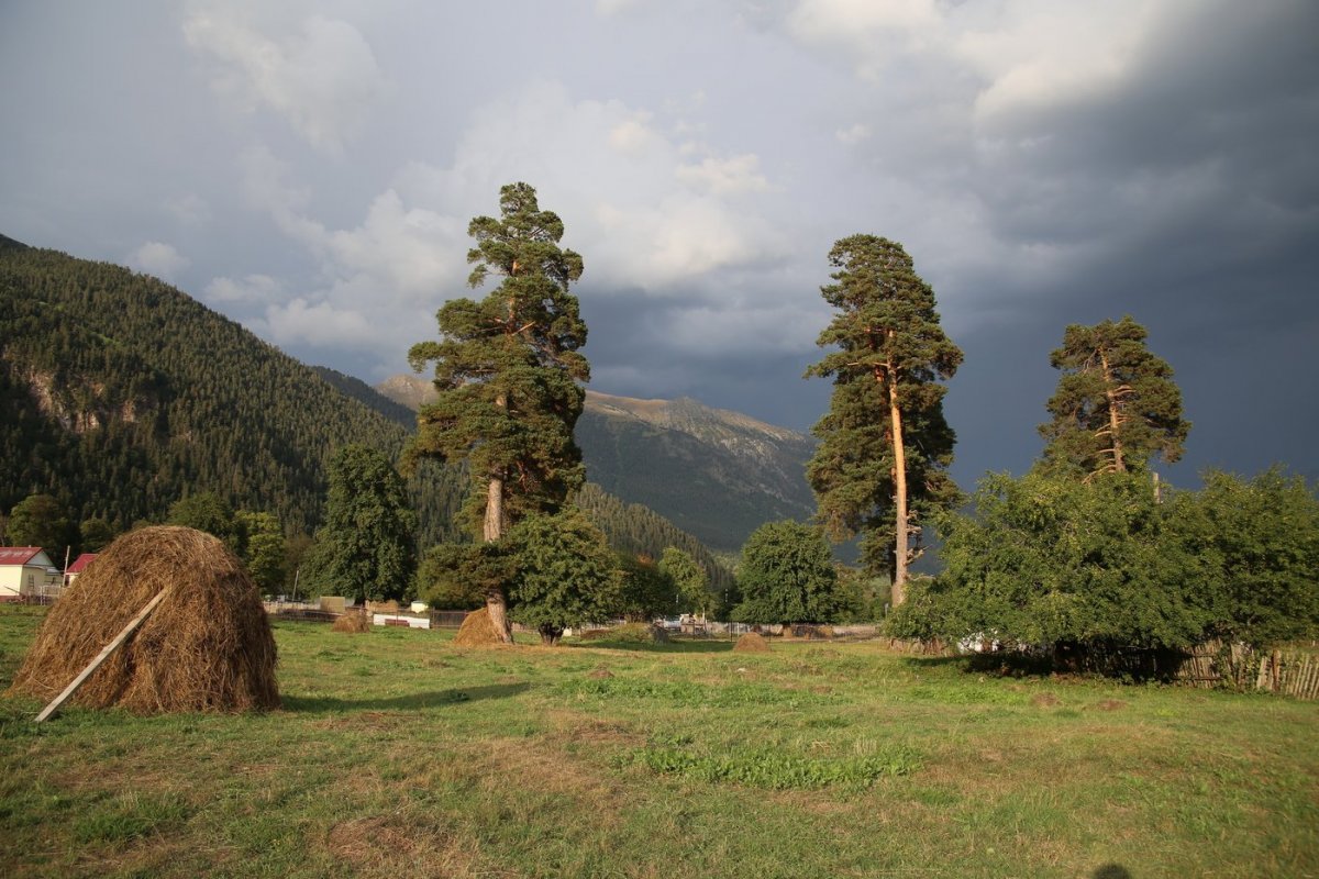 Партизанская Поляна Архыз памятник