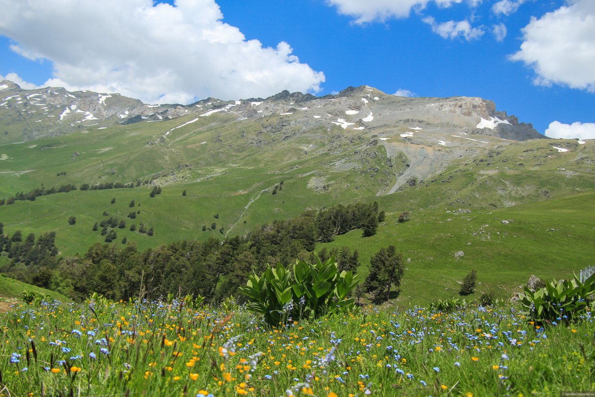 Архыз отзывы туристов