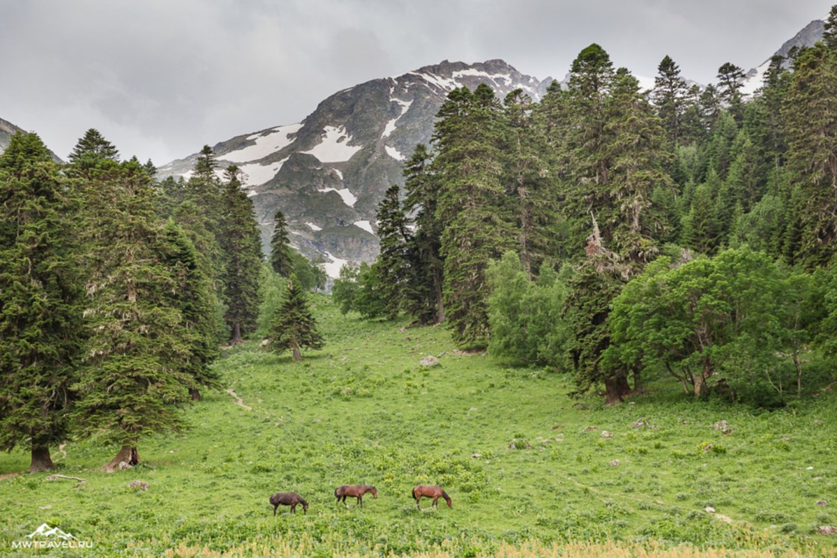 Домбай Теберда Архыз