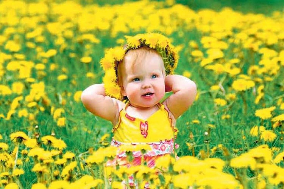 Лето дети одуванчики