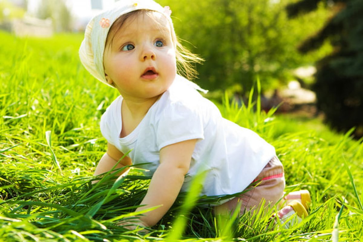 Лето дети природа