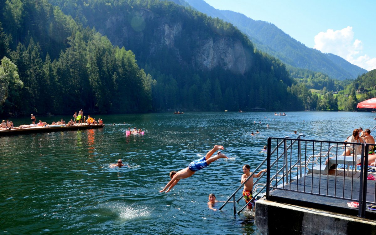 Птицы на воде