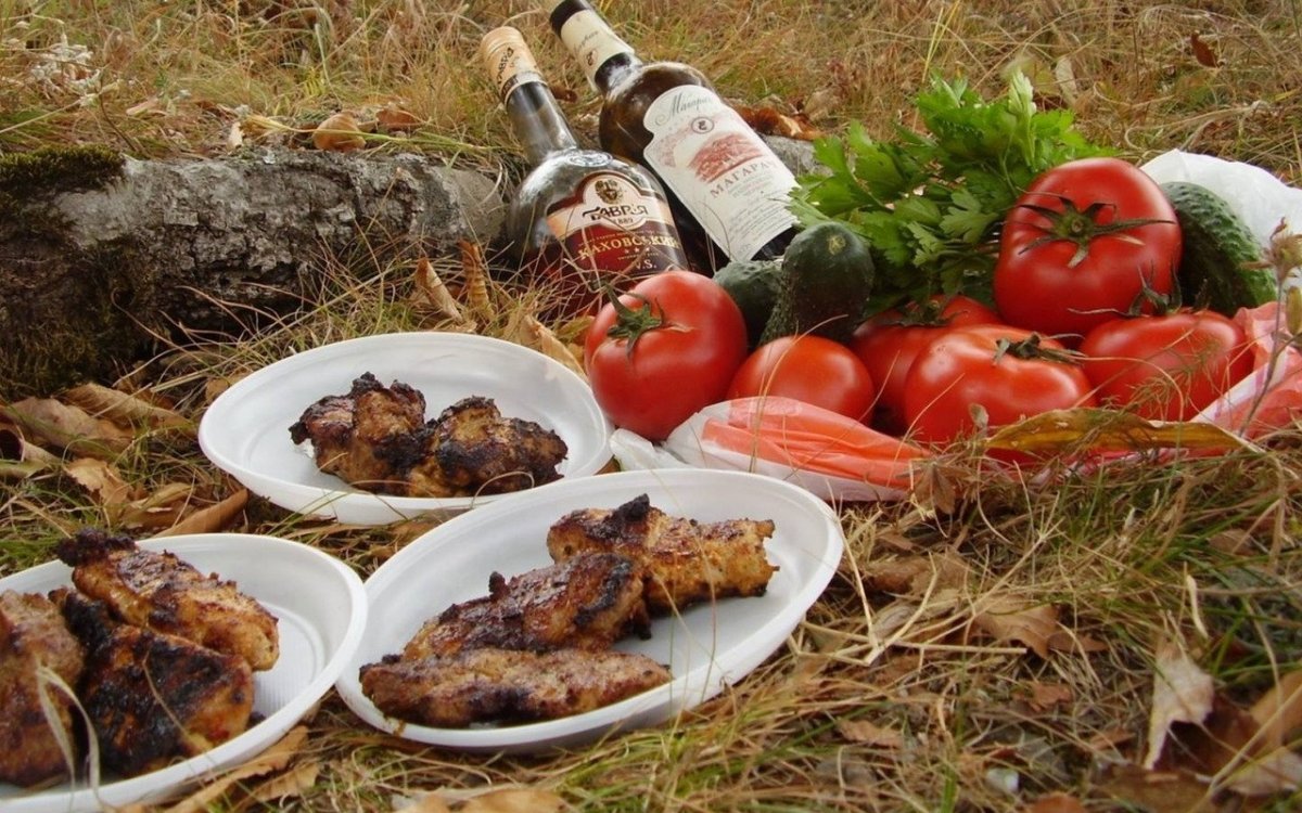Шашлык и вино на природе
