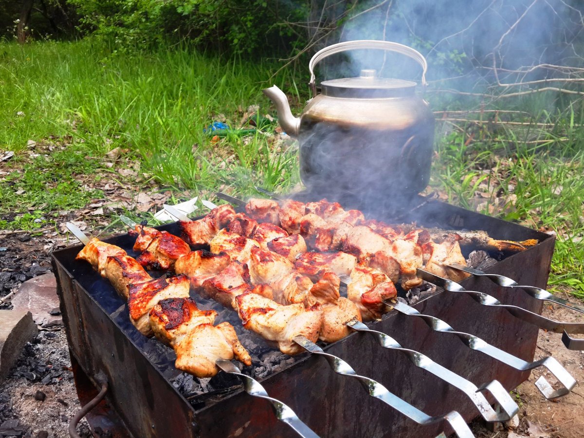 Шашлыки на природе